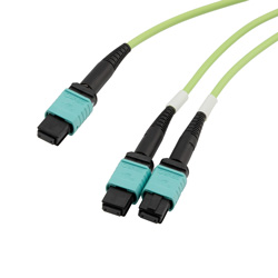 成束聚合/转换光缆，无导针MPO24/2×无导针MPO12，OM5 50/125μm多模，低烟无卤护套，水绿色，5米