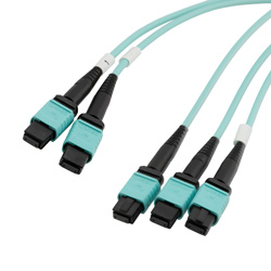 成束聚合/转换光缆，3×无导针MPO8/2×无导针MPO12，OM3 50/125μm多模，低烟无卤护套，青色，10米