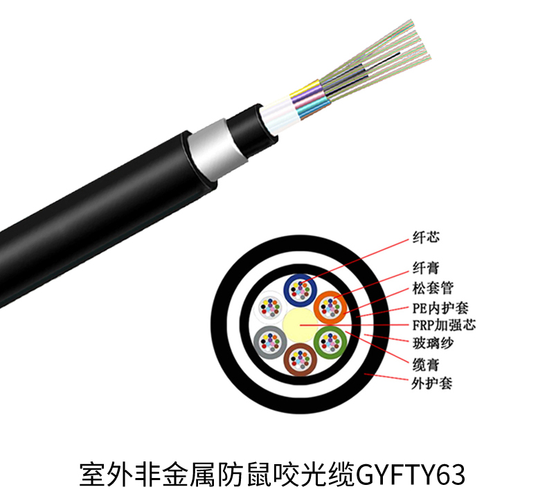 万网GYFTY63结构.jpg